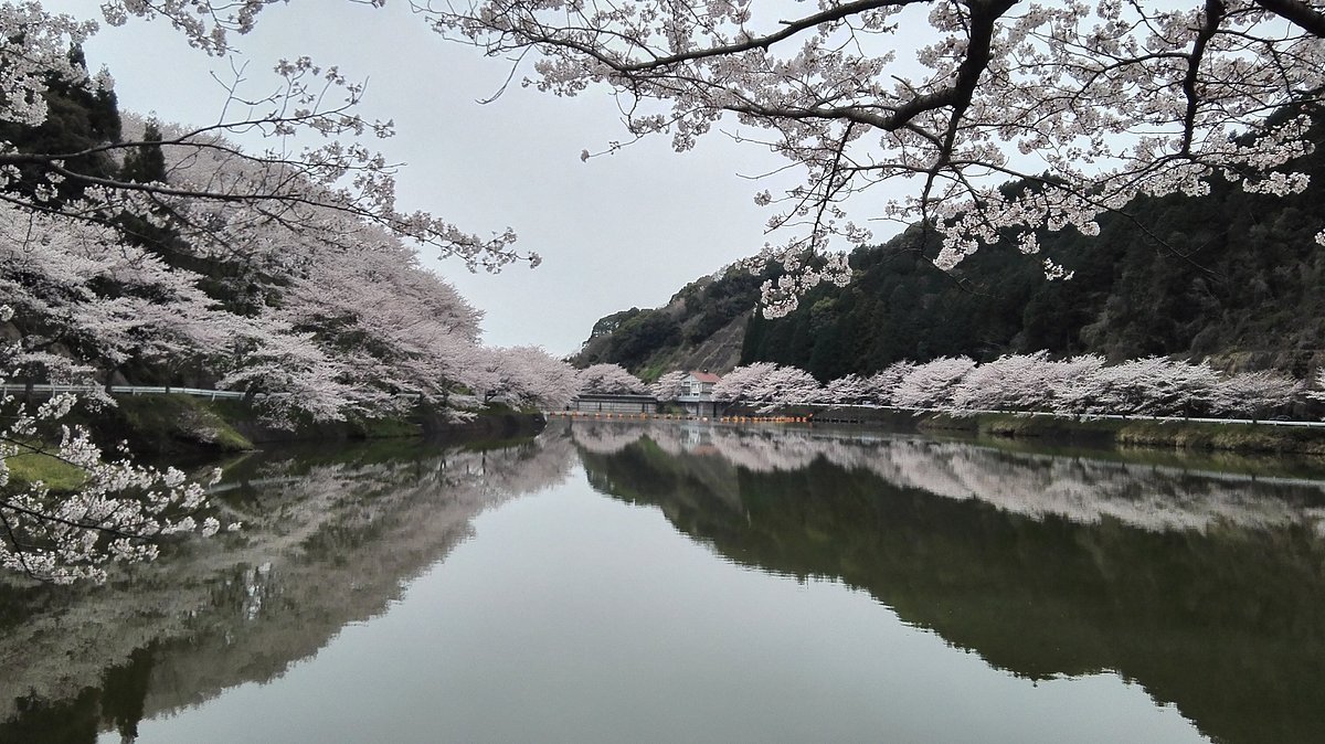 🌸 니와키 댐 이미지 6